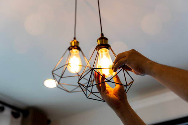 Best Electric Panel Repair  in Fergus Falls, MN
